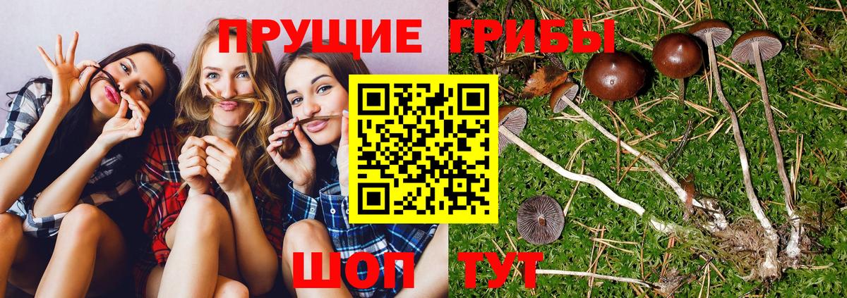 Галлюциногенные грибы мухоморы Клинцы