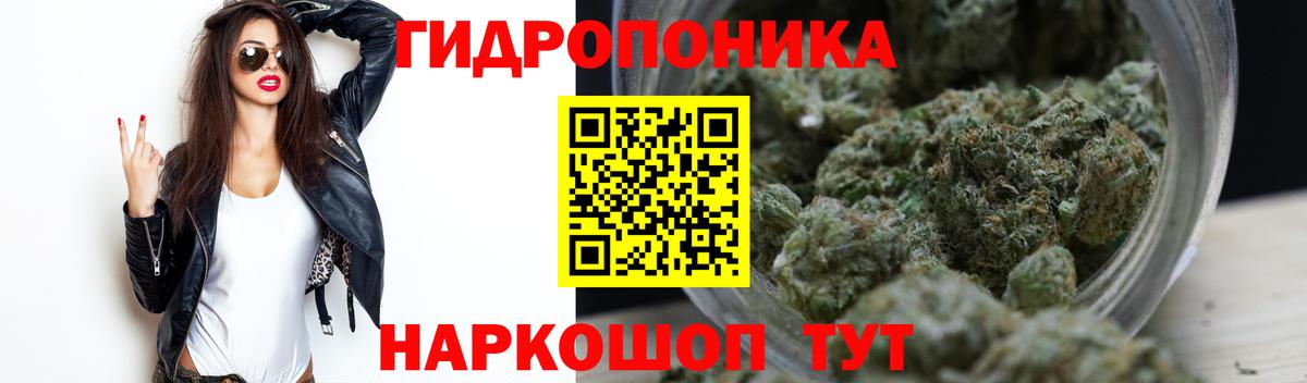 Клинцы  Конопля White Widow  Бошки марихуана семена  Конопля White Widow  Вход с VPN 